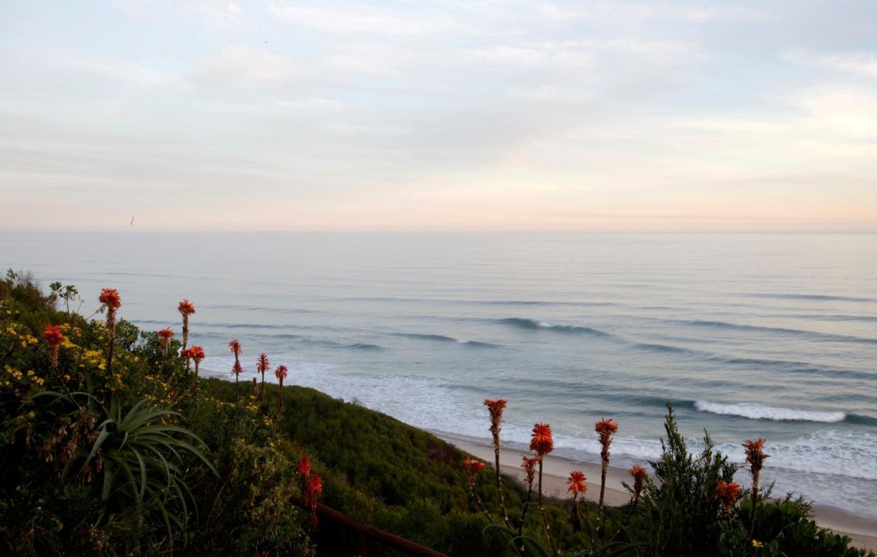 Dolphin Dunes Guesthouse Wilderness Exterior photo